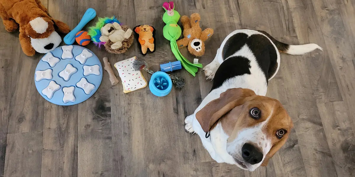 Pet Toys