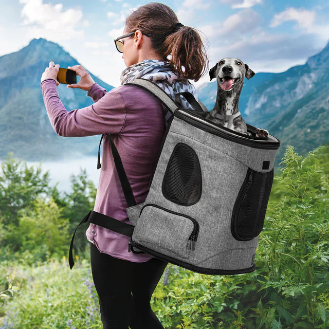 Pet Carriers for Travel