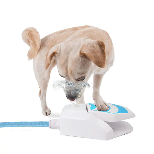 ALL FOR PAWS Outdoor Dog Sprinkler Paw Activated Dog Step On Water Fountain Water Toys for Dogs Cooling and Hydration on Hot Summer Days Includes Connector and Hose ONLY Work with Thread Taucet